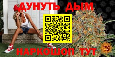 шишки Беслан