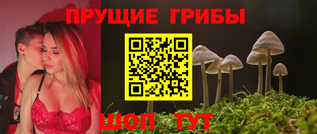 Псилоцибиновые грибы мухоморы  купить наркотики цена  Вязники  Вход с VPN  Галлюциногенные грибы Psilocybine cubensis 